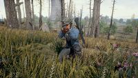 Playerunknown's Battlegrounds na czwartym miejscu na Steam, jeśli chodzi o liczbę graczy w szczytowym okresie