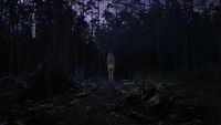 Darkwood wychodzi z Wczesnego Dostępu Steam