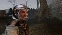 The Elder Scrolls III: Multiplayer - nowa aktualizacja moda dodaje postacie NPC