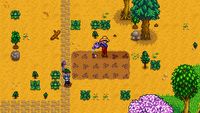 Stardew Valley - poznaliśmy szczegóły trybu wieloosobowego