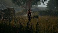 Playerunknown's Battlegrounds (chwilowo) popularniejsze od Doty 2