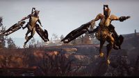 Warframe - zobacz w akcji dodatek Plains of Eidolon