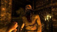 Amnesia Collection za darmo