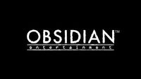 The Outer Worlds nową grą Obsidianu?