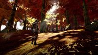 Camelot Unchained z datą rozpoczęcia beta-testów