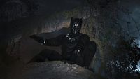 Marvel potwierdza - Black Panther otrzyma sequel