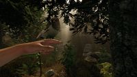 The Forest zadebiutuje 30 kwietnia na Steamie