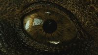 Miliardowy Jurassic World 2 i debiut nowego Ant-Mana w USA