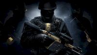 Bany w Rainbow Six Siege za rasistowskie i homofobiczne komentarze