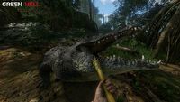 Green Hell – polski survival z Wczesnym Dostępem i wymaganiami sprzętowymi