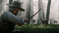 W Red Dead Redemption 2 znajdziemy 200 gatunków zwierząt