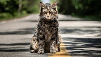 Pet Sematary – zwiastun nowej adaptacji Smętarza dla zwierzaków