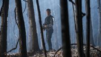 Pierwsze wrażenia z 2. sezonu serialu The Punisher - felieton