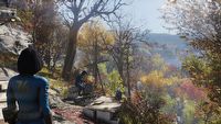 Fala banów za zduplikowane przedmioty w Fallout 76