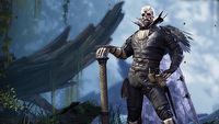 Polacy współtworzą darmową zawartość do Divinity: Original Sin 2