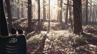 Blair Witch - gameplay z nowej gry Polaków z Bloober Team