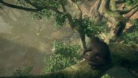 Ancestors: The Humankind Odyssey – wymagania sprzętowe