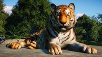 Długi gameplay z Planet Zoo skupia się na opiece nad zwierzętami