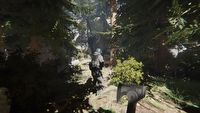 Sons of the Forest - powstaje sequel survivalowego The Forest