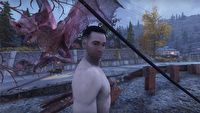 Fallout 76 - cheaterzy wprowadzili do gry NPC-ów z Fallouta 4