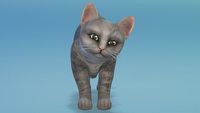 Słynny mem z kotem odtworzony w The Sims 4