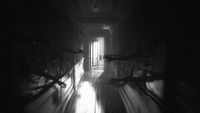 Wiosenna wyprzedaż w Humble Store (m.in. DiRT 4 i Layers of Fear 2)