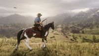 Red Dead Redemption 2 - niesamowity detal dotyczący pojedynku zwierząt