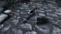 Mod do Skyrim pozwoli adoptować kota