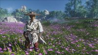 Ghost of Tsushima - świetlik prowadzi do znajdziek po patchu 1.06