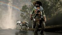 Red Dead Online niegrywalne po patchu, znikają postacie i zwierzęta