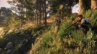 Beta New World nie zachwyciła graczy