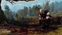 Wiedźmin 3 i Xbox Series X - praktycznie nie ma ekranów ładowania podczas szybkiej podróży