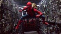 Holland już oficjalnie na planie Spider-Mana 3. Jest zdjęcie z planu