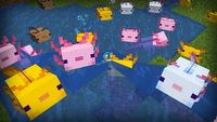 Minecraft - Snapshot 20w51a dodał aksolotle
