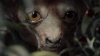Wiedźmin z lepszym CGI dzięki specom od Wikingów i Stranger Things