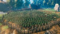 Patch do Valheim mimo licznych poprawek uczynił rolnictwo irytującym