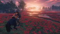Twórcy Ghost of Tsushima pracują nad „spektakularną grą wieloosobową”