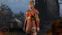 Diablo 2: Resurrected czerpie z pracy modderów przy Diablo 2