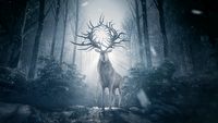 Cień i kość - premiera dobrze ocenianego serialu fantasy Netflixa