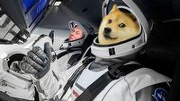Dogecoin leci w dół; Elon Musk wyśle go na Księżyc