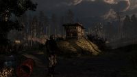 STALKER 2 z 2011 roku w sieci