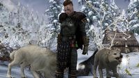 Skyrim otrzymał ostateczną wersję popularnego moda