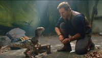 Reżyser Jurassic World 3: Dominion próbuje wytłumaczyć fabułę filmu