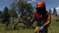 Nvidia potwierdza: Rust otrzyma wsparcie DLSS