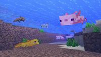 Minecraft 1.17.1 - aktualizacja dostępna od dziś, poprawia 42 błędy