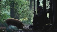 Nicolas Cage zachwycił widzów na całym świecie. Pig zbiera wyśmienite recenzje