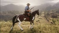 RDR2 - gracz stworzył film obrazujący imponujący system pogody