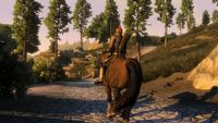 Skyblivion - twórcy podzielili się postępami prac nad otoczeniem