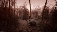 Aplikacja Abandoned na PS5 trolluje graczy