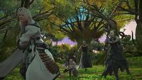 ERP w Final Fantasy XIV - róbcie, co chcecie, aby dobrowolnie i w sferze prywatnej